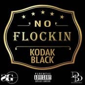 No Flockin - Single